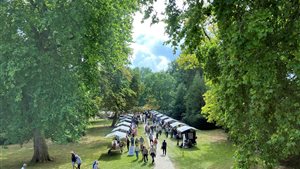Kunstmarkt Opsterland
