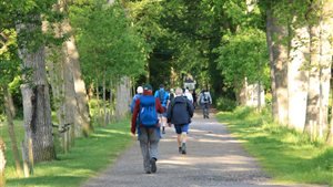 Leekstermeer Wandeltocht