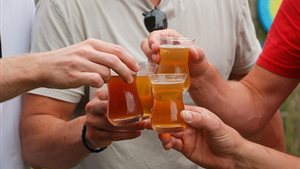 Reeuwijks Bierfestival