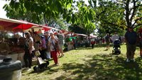 Kersenfestival Cothen
