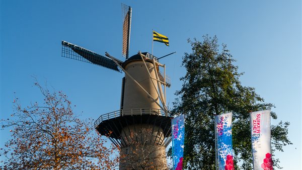 Suikerzoet Filmfestival