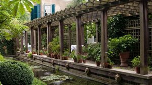 Open Tuinendag Utrecht