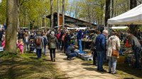 Struunmarkt Diever