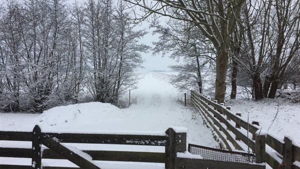 Koek & Lopie Winterwandelingen