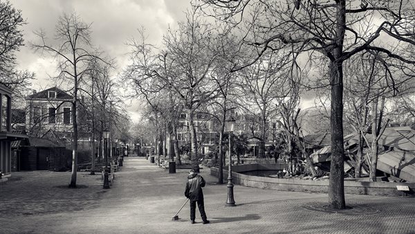 Leeuwen verlaten ARTIS