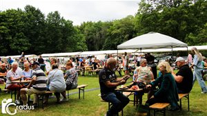 Zomerfeest Wapenveld