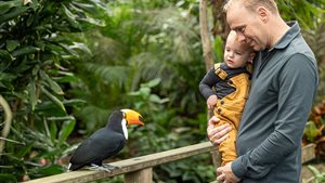 Vier Vaderdag in de tropen bij Pantropica