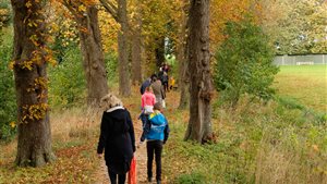 Kastanjeweek - Kinderspeurtocht Dekema State