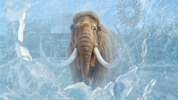 Dino Weken bij ZooParc Overloon