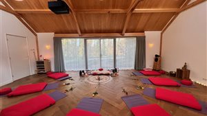 Healing Morning met Cacao Ceremonie