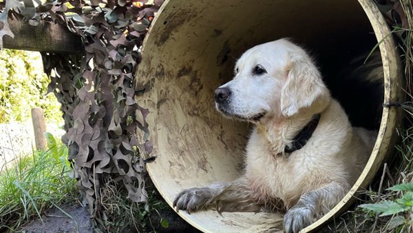Expeditie Dierendag voor hond en baasje