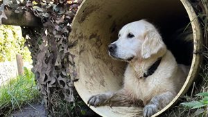 Expeditie Dierendag voor hond en baasje