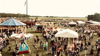 Flaeijelfeest