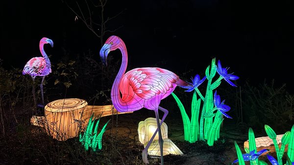 Openingstijden en tickets