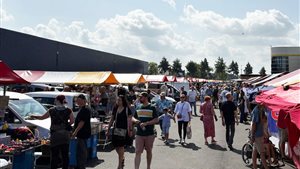 Mega Openlucht Snuffelmarkt Gorinchem