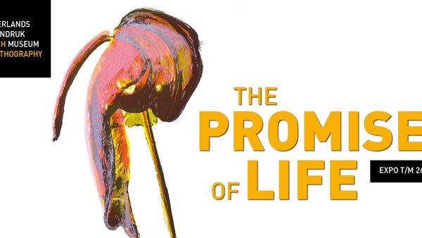 The Promise of Life
