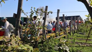 Plantjesdag XL editie