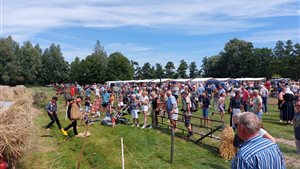 Oogstfeest