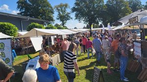 Distel Fair