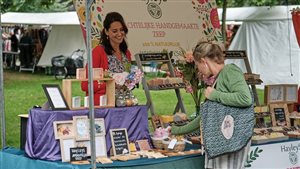 Zeldzaam Mooi Markt Sonsbeekpark Arnhem