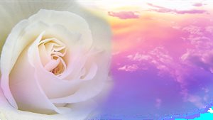 Spirituele beurs Roden