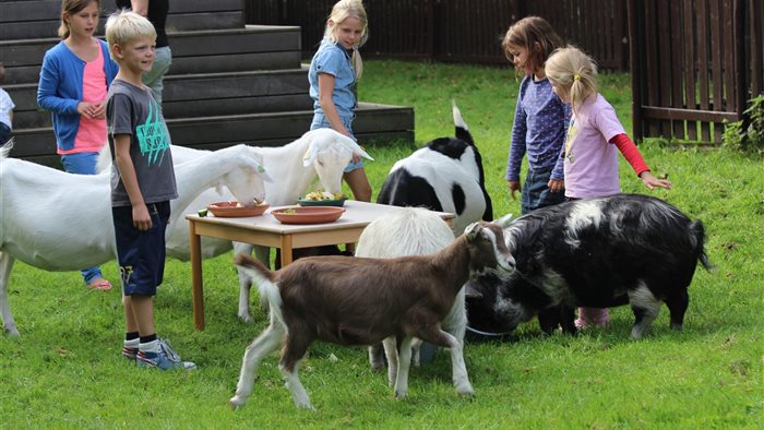Kinderboerderij de Goudse Hofsteden in Gouda, Zuid-Holland