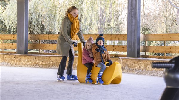Schaatsbaan bij Plaswijckpark