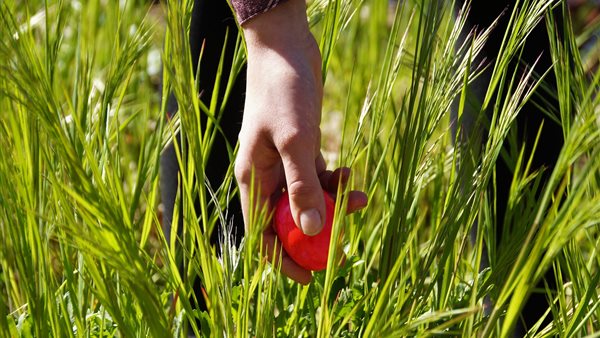 Paasuitjes en paasactiviteiten met kinderen