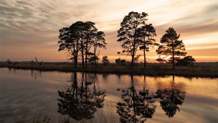 Bezoekerscentrum Dwingelderveld in Ruinen, Drenthe