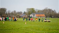 Lente in de kooi