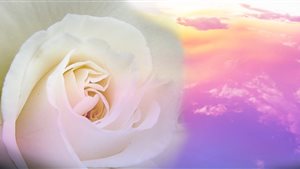 Spirituele beurs Wildervank