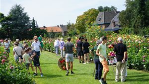 Open dagen Eerste Maastrichtse Dahlia Vereniging