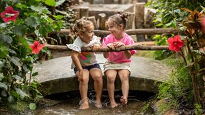 Beleef de zomervakantie in tropische sferen