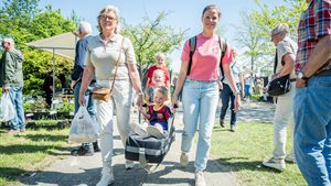 Lentefair De Tuinen Frederiksoord