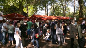 Vlooienmarkt Scouting Mgr Bekkersgroep