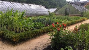 Open Tuindag Hindersteyn