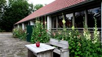 Stokrozen-Hortensia-Hemerocallis Dagen