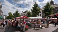 Blauwvingerdagen Zwolle