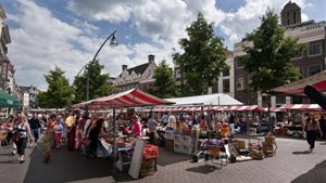 Blauwvingerdagen Zwolle