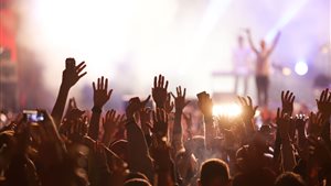 Veluwade Festival