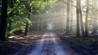Dauwtrappen op Hemelvaartsdag 2026 - Wandelingen per provincie
