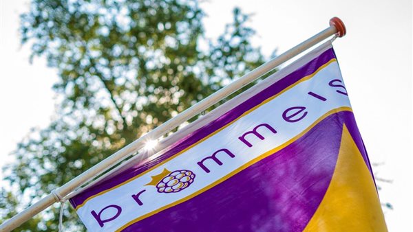 Brommels