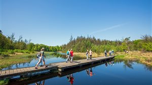 3 Provinciën Wandeltocht