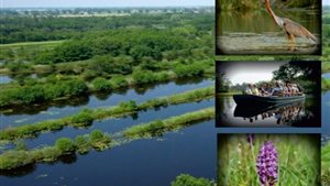Varen in natuurgebied de Molenpolder