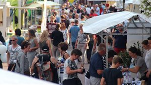 Vier de Zomer-markt Horst