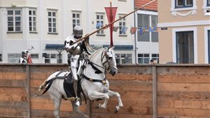 Riddertoernooi te paard en te voet