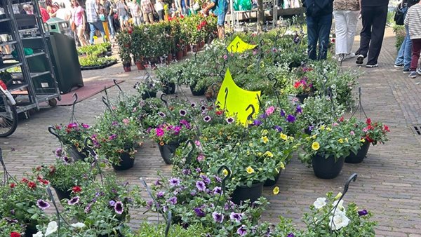 Bloemenjaarmarkt Groningen