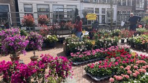 Zendemarkt Steenwijk