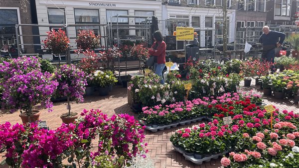 Zendemarkt Steenwijk