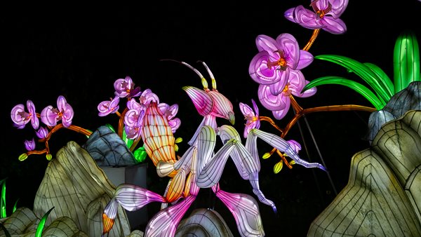 Unieke samenwerkingen